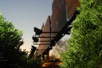 DSC_0293 (3)